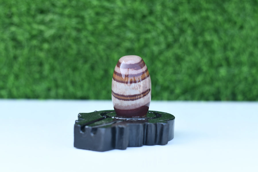 Plate Base