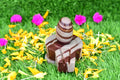 Gyarnted 100% original narmdeswar shivling