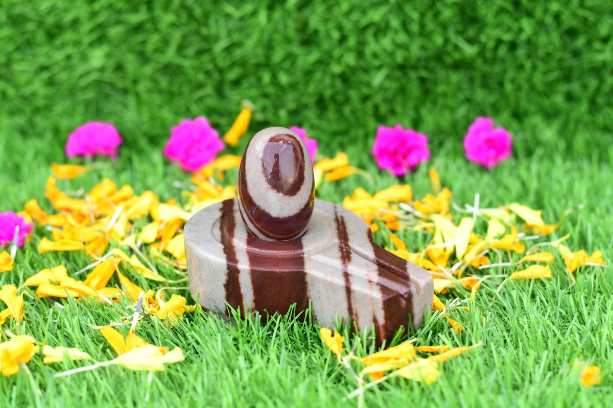 Narmdeswar shivling home pooja 2 inch shivling with 4 inch jaladhari