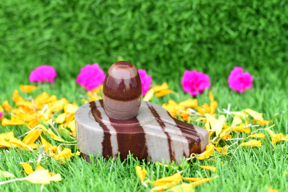 Original narmdeswar shivling 2 inch thumb sije home pooja decoration