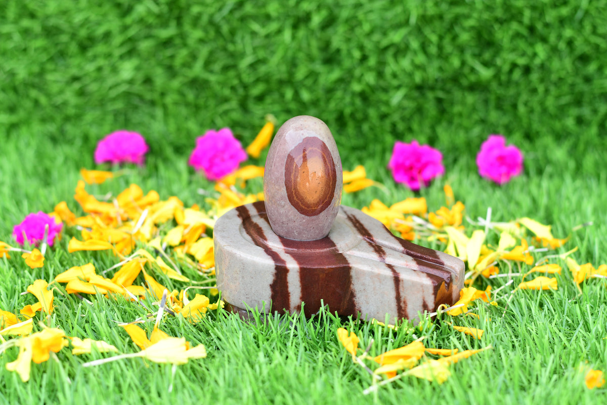 Narmdeswar shivling home pooja 2 inch shivling with 4 inch jaladhari