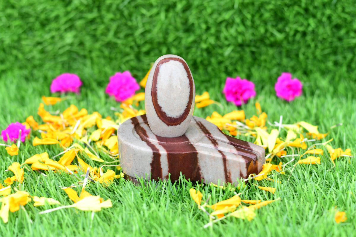 Narmdeswar shivling home pooja 2 inch shivling with 4 inch jaladhari