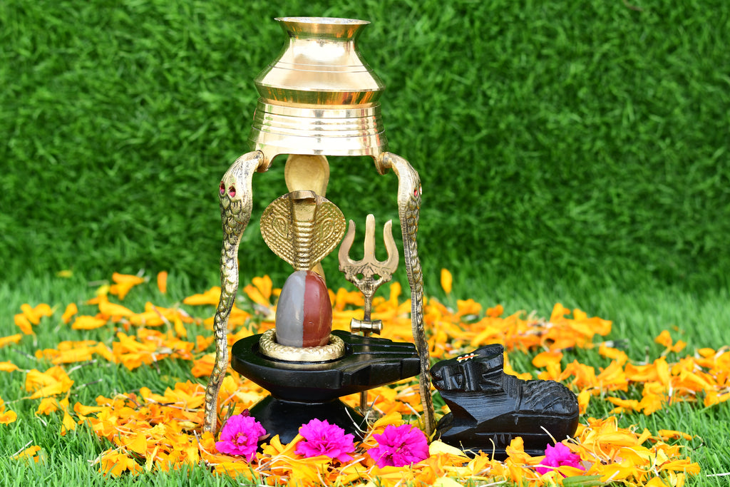 Narmdeswar shivling narmdeswar mahamrityunjay narmdeswar shivling nechural narmdeswar shivling swaymbhu narmdeswar shivling