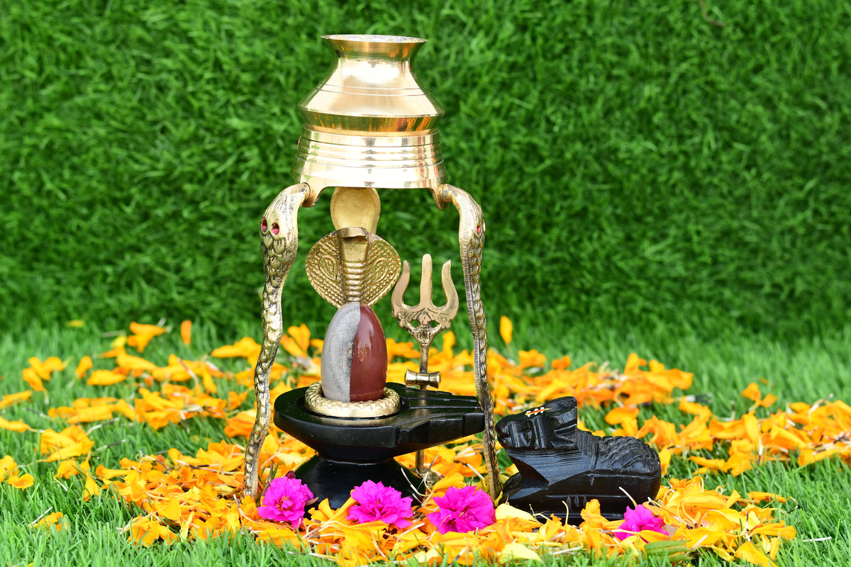 Narmdeswar shivling narmdeswar mahamrityunjay narmdeswar shivling nechural narmdeswar shivling swaymbhu narmdeswar shivling