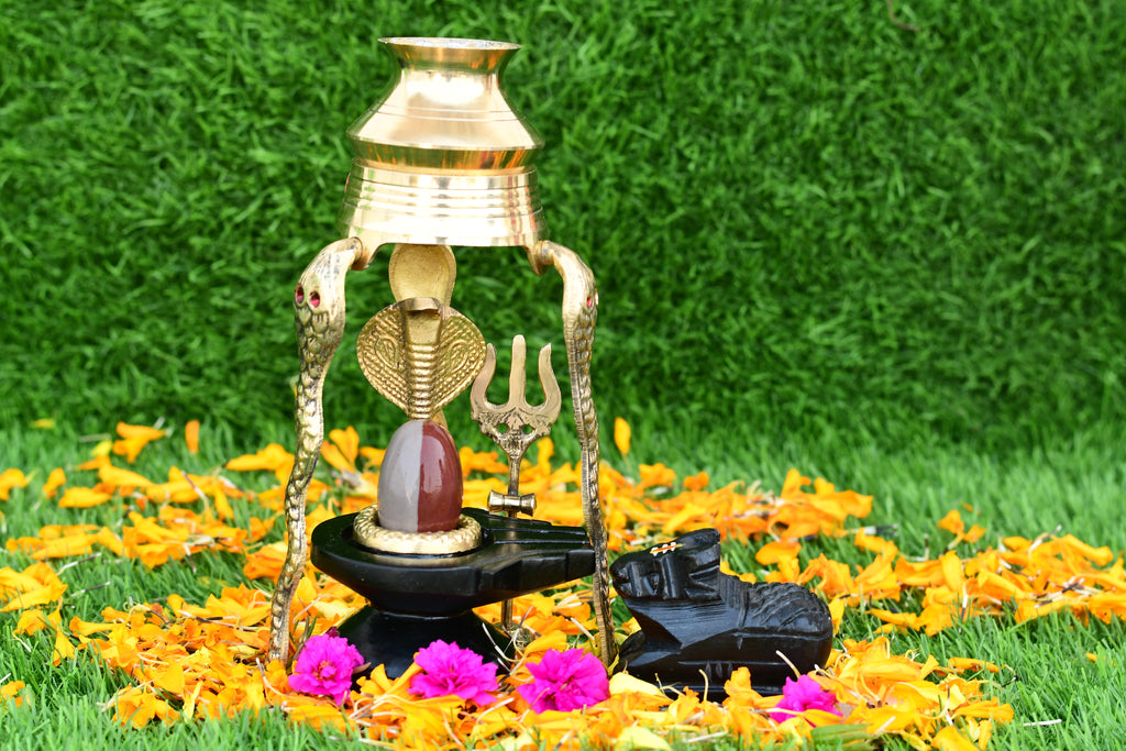 Narmdeswar shivling narmdeswar mahamrityunjay narmdeswar shivling nechural narmdeswar shivling swaymbhu narmdeswar shivling
