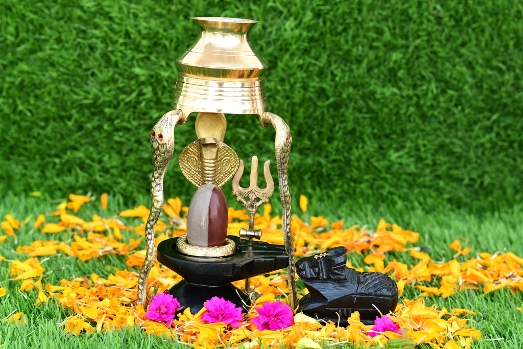 Narmdeswar shivling narmdeswar mahamrityunjay narmdeswar shivling nechural narmdeswar shivling swaymbhu narmdeswar shivling