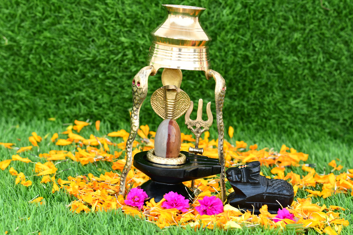 Narmdeswar shivling narmdeswar mahamrityunjay narmdeswar shivling nechural narmdeswar shivling swaymbhu narmdeswar shivling