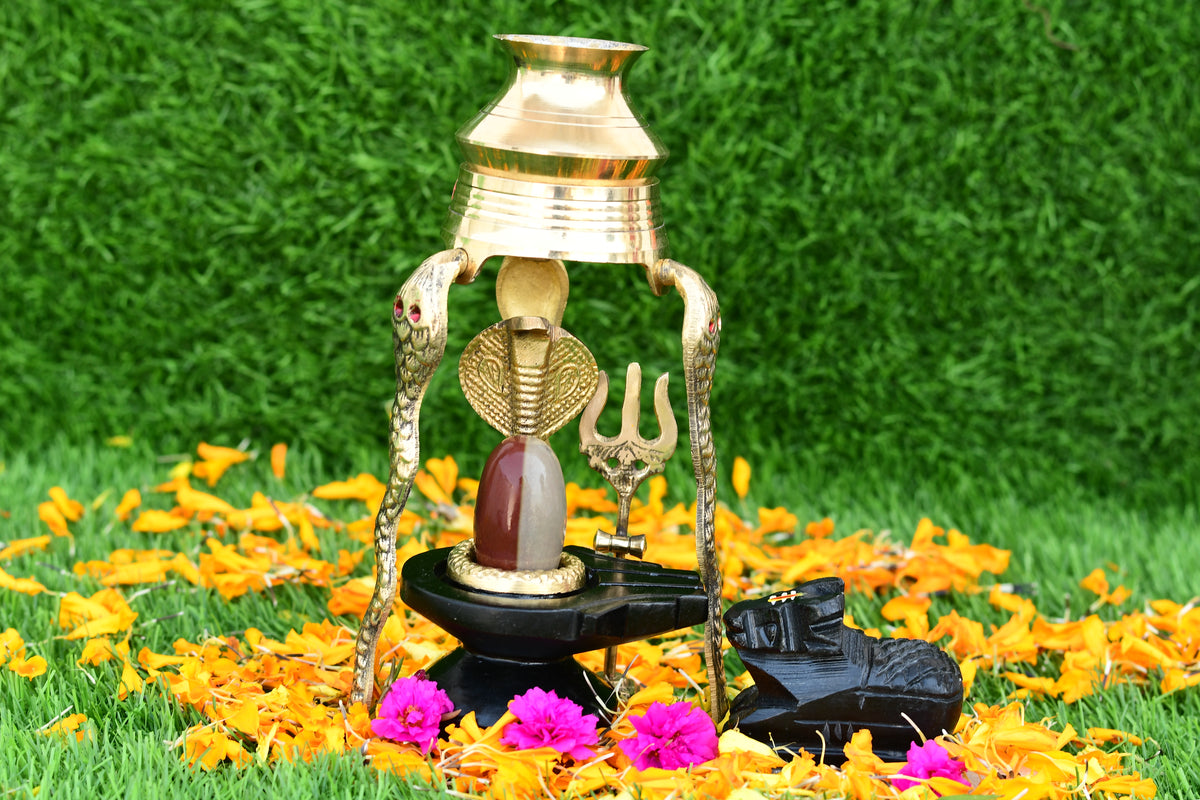 Narmdeswar shivling narmdeswar mahamrityunjay narmdeswar shivling nechural narmdeswar shivling swaymbhu narmdeswar shivling