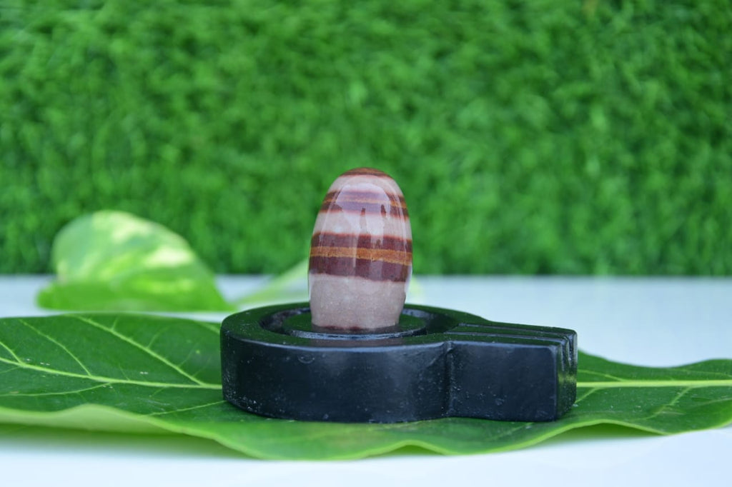 2 inch narmadeshwar shivling home pooja