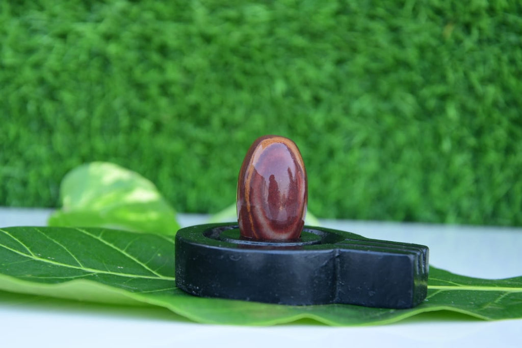 India the best narmdeswar shivling