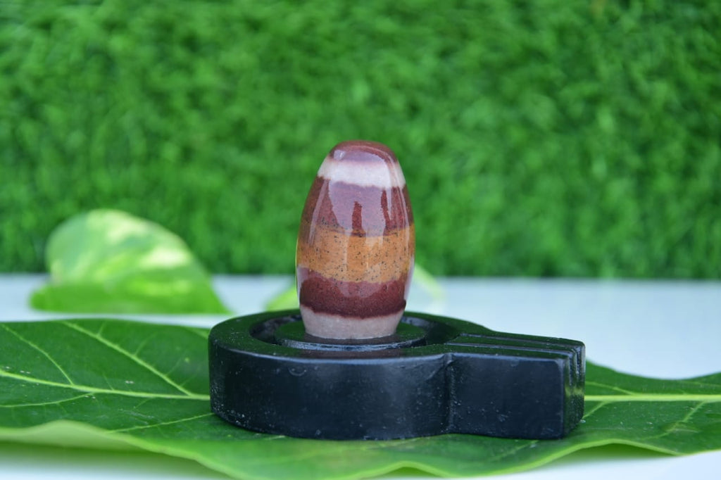 2 inch original thumb size narmadeshwar shivling with black jaladhari best size for home