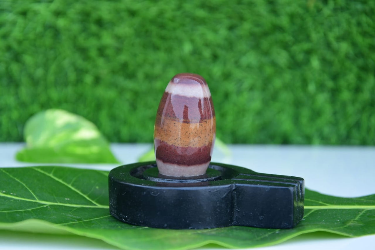 India the best narmdeswar shivling