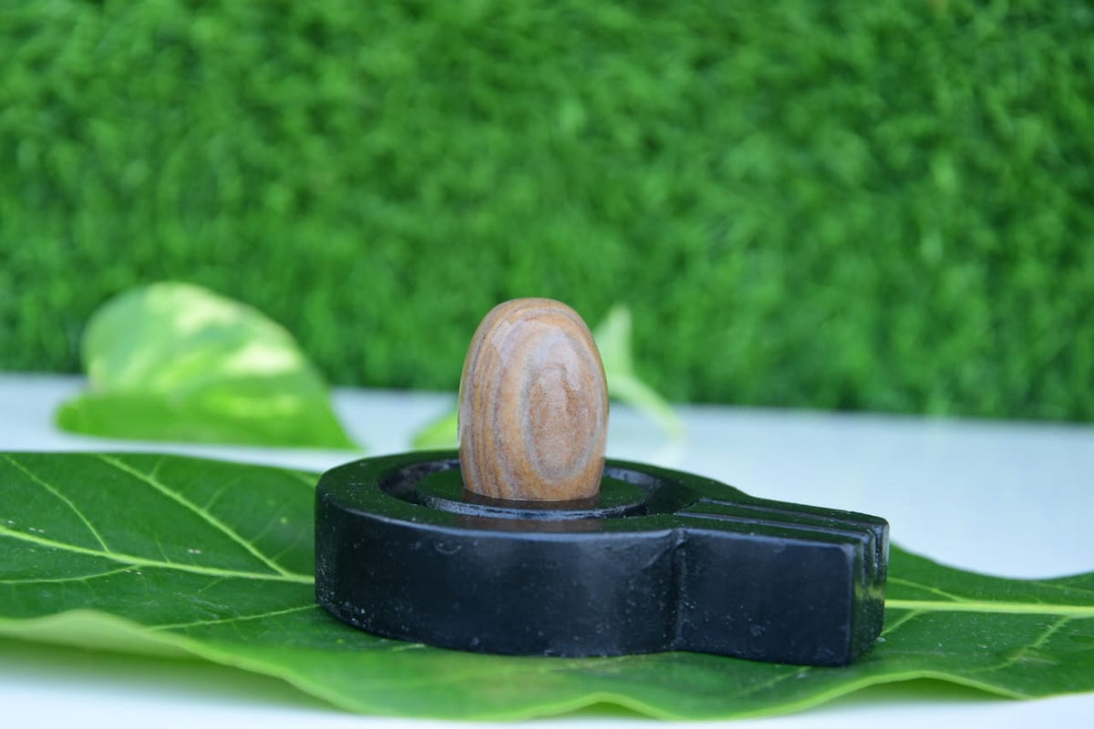 India the best narmdeswar shivling