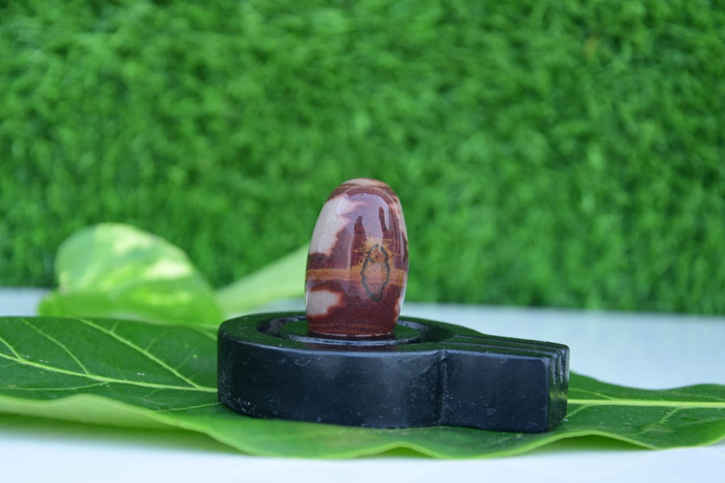 2 inch original thumb size narmadeshwar shivling with black jaladhari best size for home