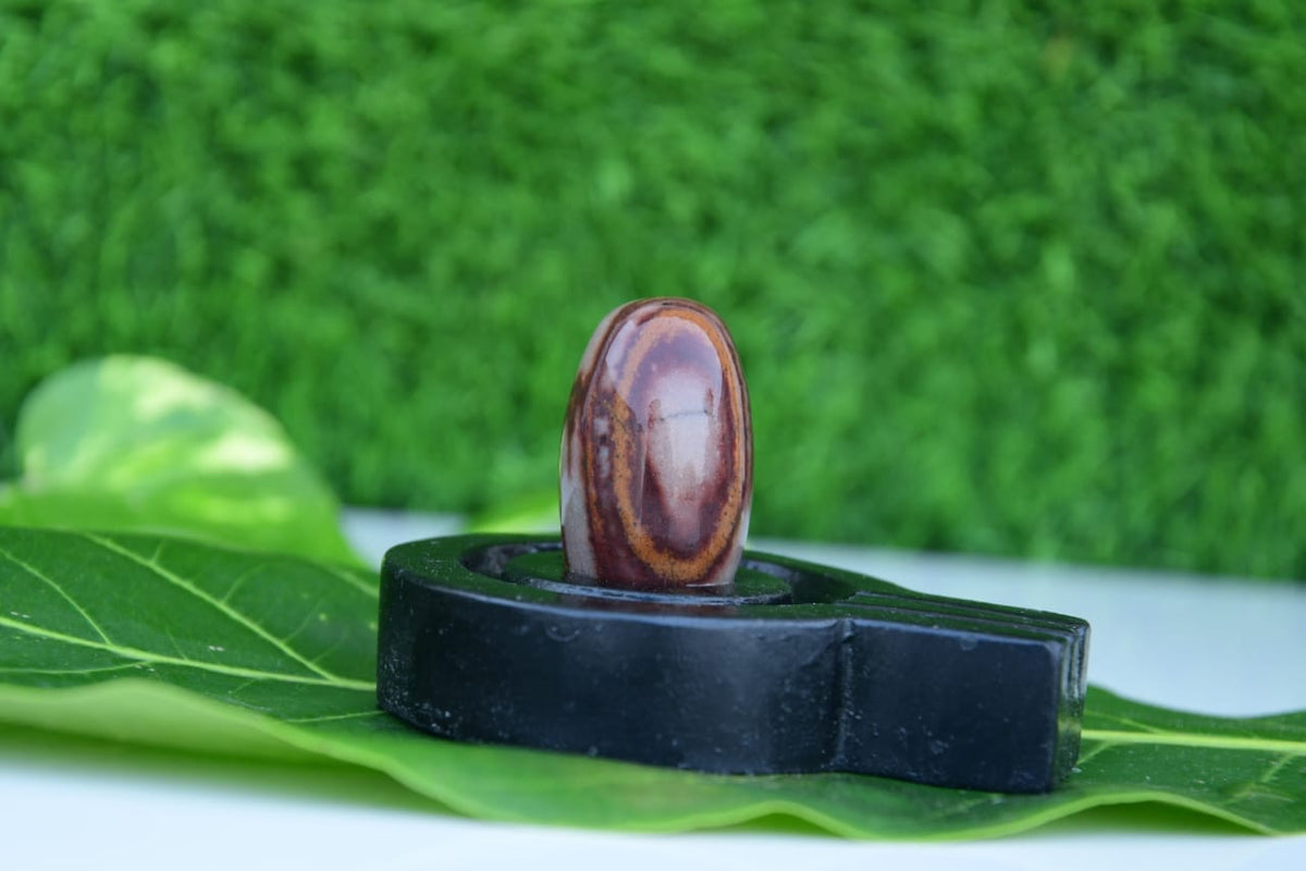 2 inch original thumb size narmadeshwar shivling with black jaladhari best size for home
