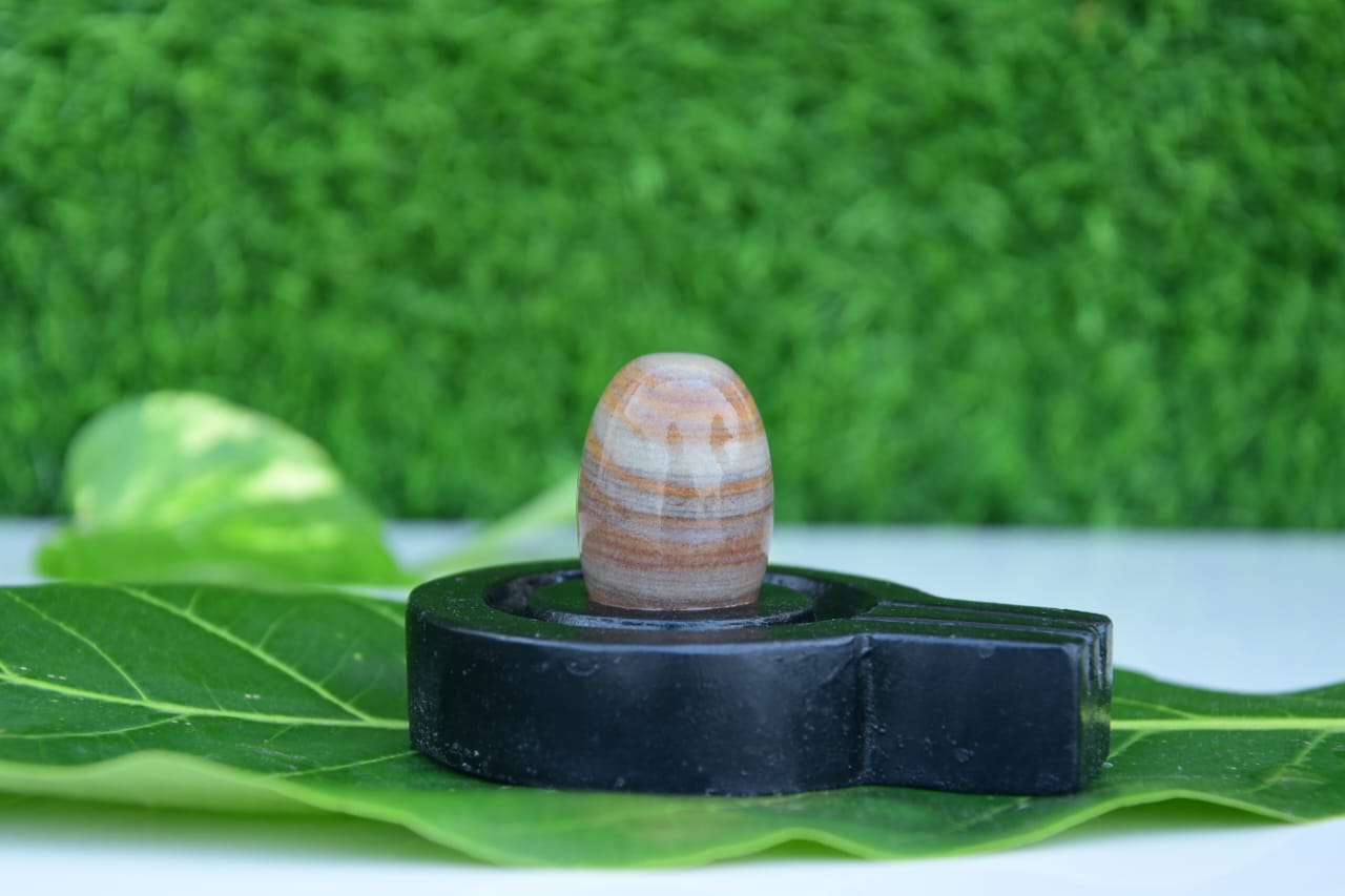 Narmdeswar shivling bakawan original narmdeswar shivling home puja