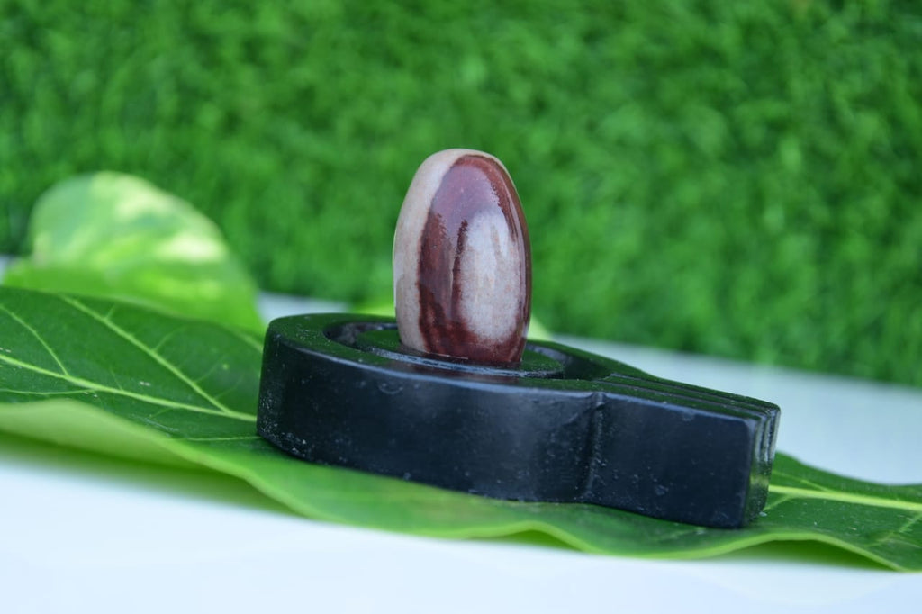 Narmdeswar shivling bakawan original narmdeswar shivling home puja
