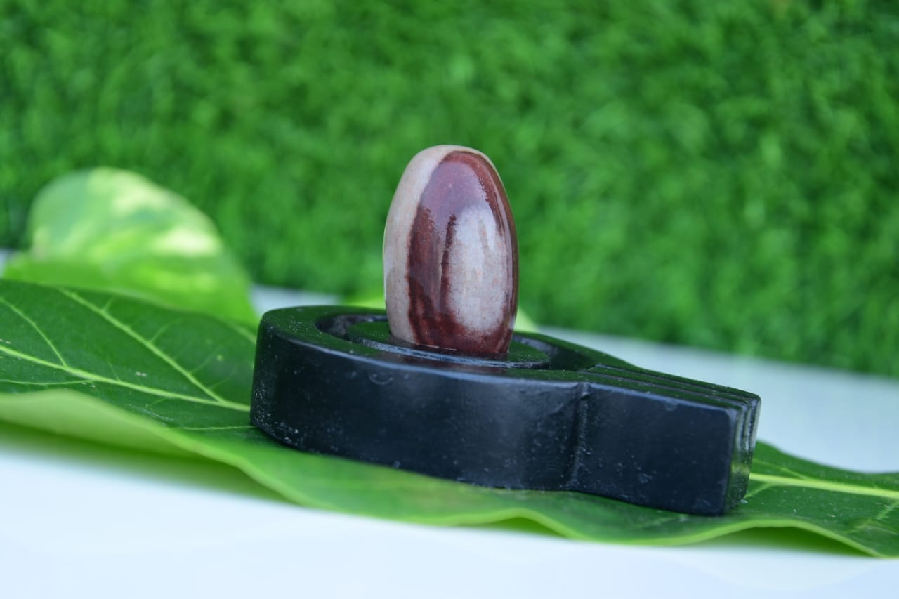 Narmdeswar shivling bakawan original narmdeswar shivling home puja