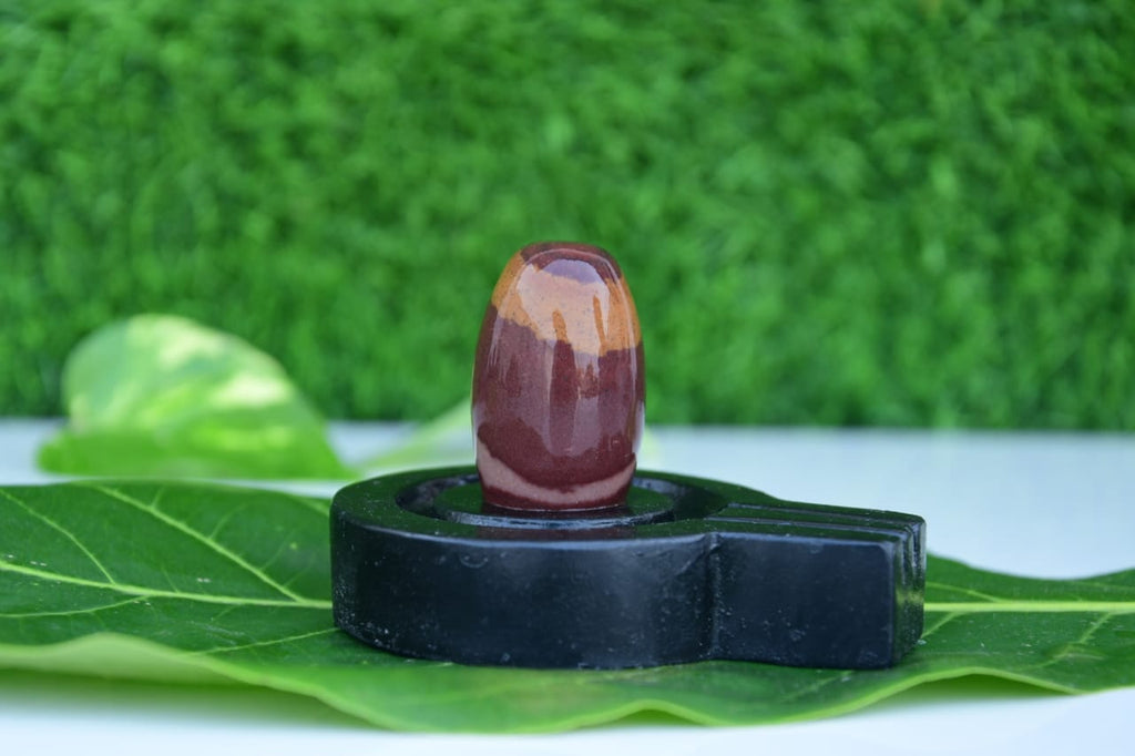 Narmdeswar shivling bakawan original narmdeswar shivling home puja