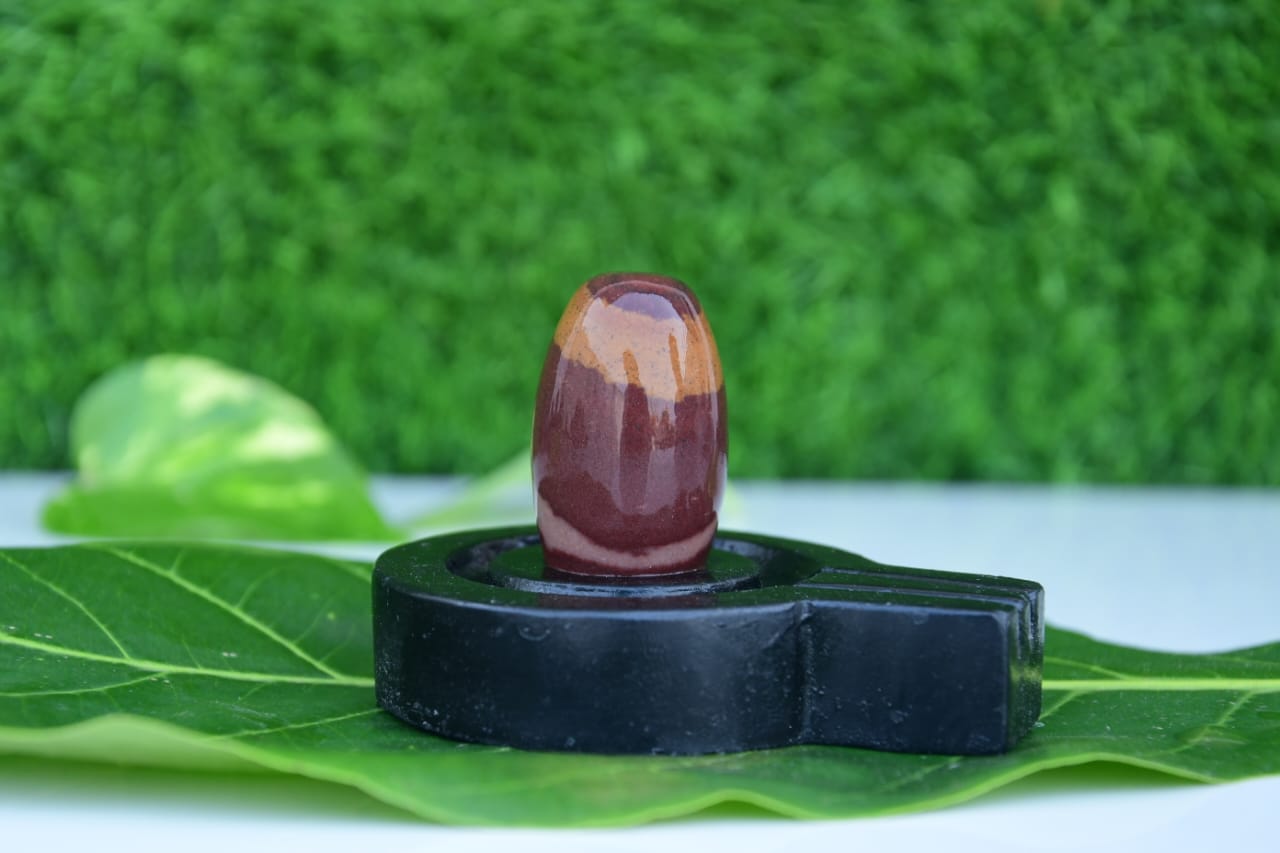 Narmdeswar shivling bakawan original narmdeswar shivling home puja
