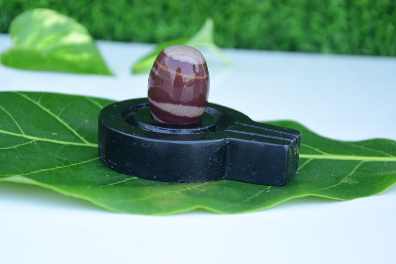 Narmdeswar shivling bakawan original narmdeswar shivling home puja