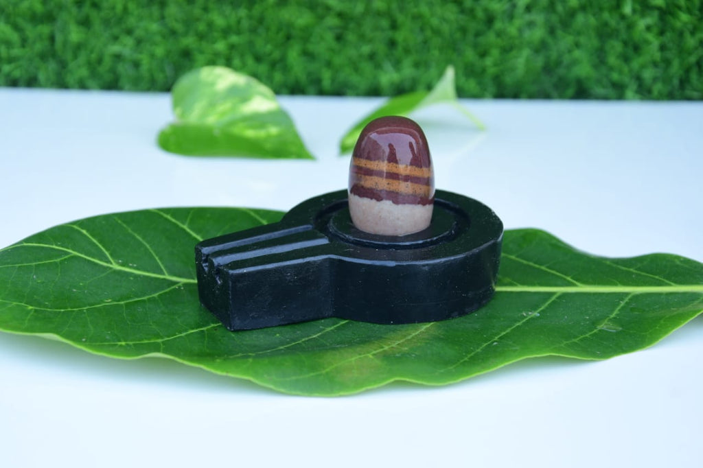 Narmdeswar shivling bakawan original narmdeswar shivling home puja