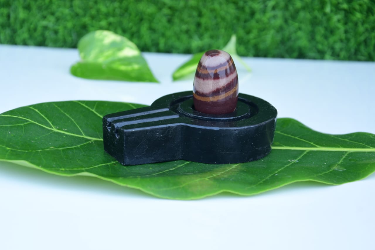 Narmdeswar shivling bakawan original narmdeswar shivling home puja