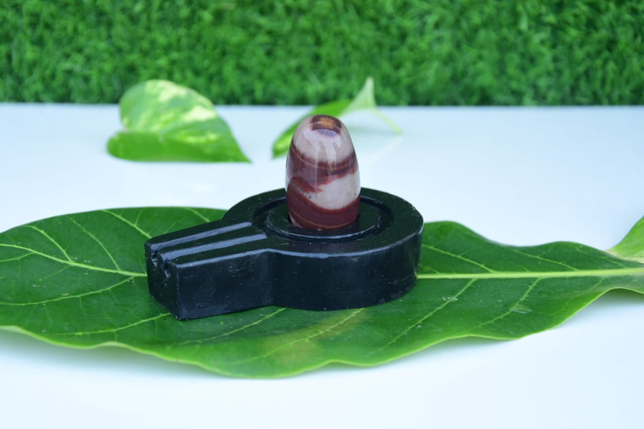 Narmdeswar shivling bakawan original narmdeswar shivling home puja