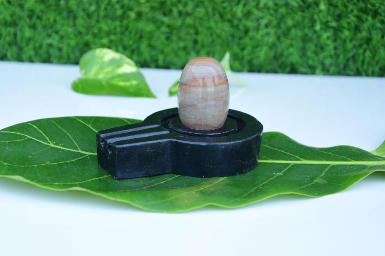 Narmdeswar shivling bakawan original narmdeswar shivling home puja