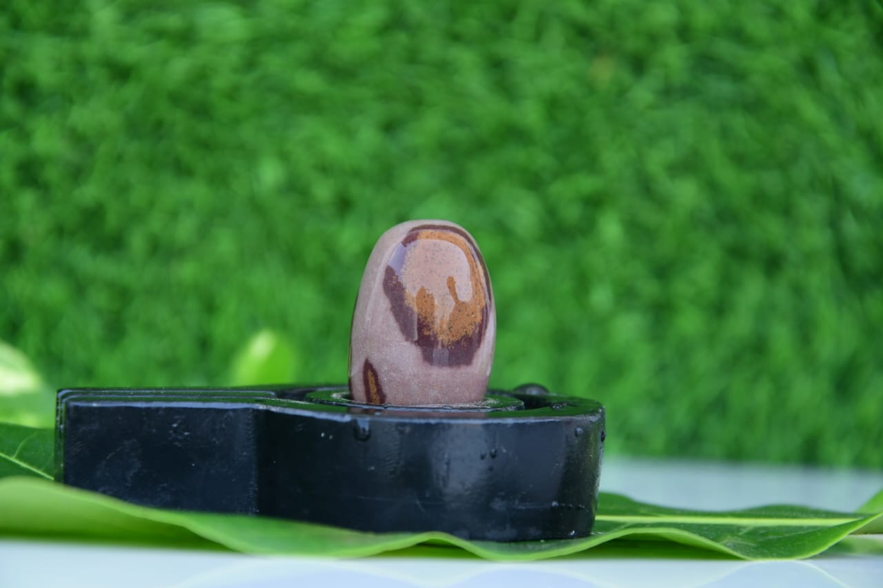 Narmdeswar shivling bakawan original narmdeswar shivling home puja