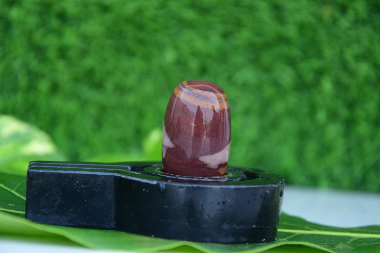 Narmdeswar shivling bakawan original narmdeswar shivling home puja