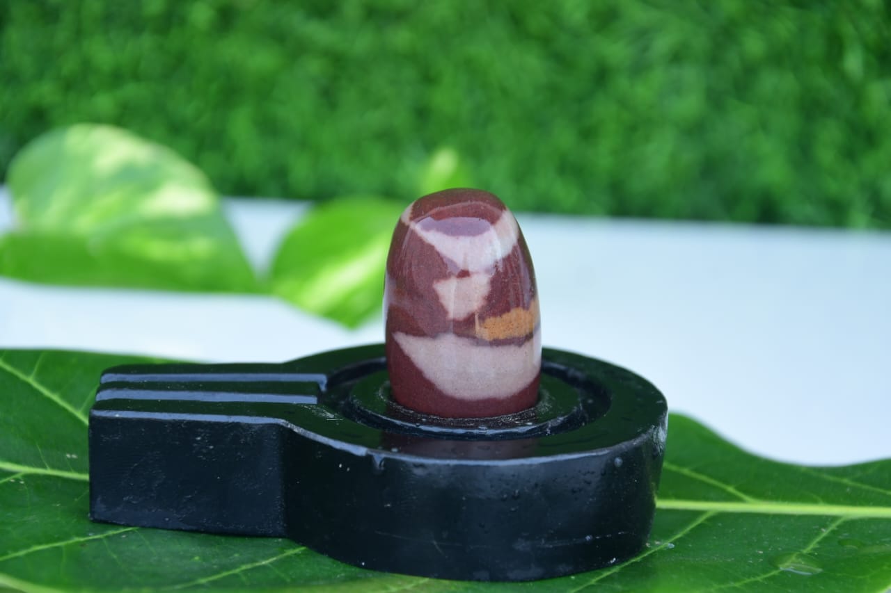 Narmdeswar shivling bakawan original narmdeswar shivling home puja