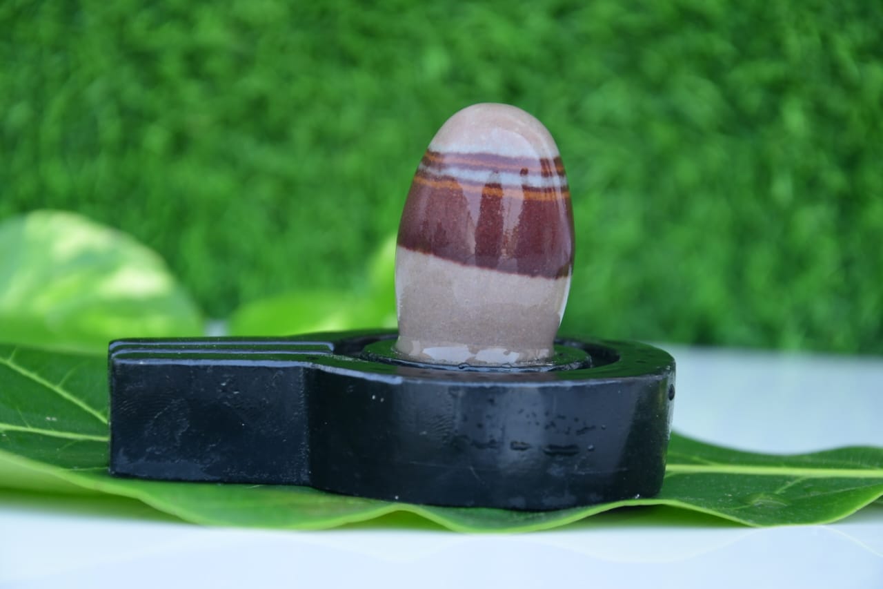 Narmdeswar shivling bakawan original narmdeswar shivling home puja