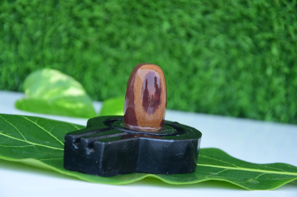 Narmdeswar shivling bakawan original narmdeswar shivling home puja