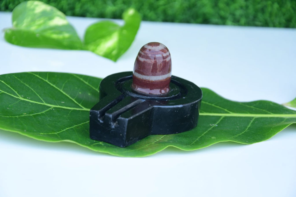 Narmdeswar shivling bakawan original narmdeswar shivling home puja
