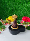 Original narmdeswar shivling
