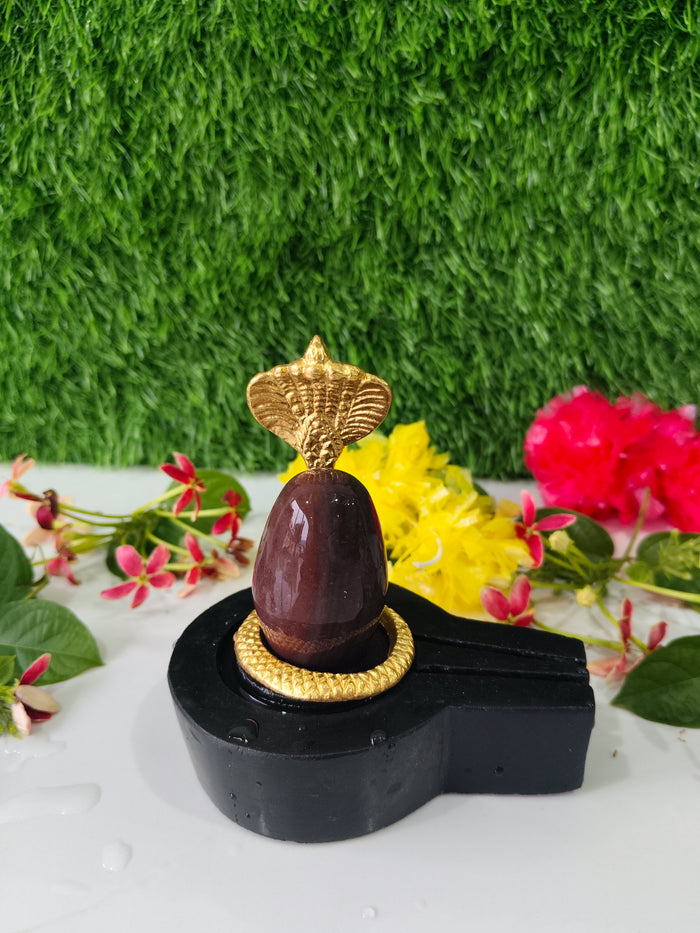 Narmdeswar shivling bakawan original narmdeswar shivling narmda stone