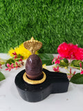 Narmdeswar shivling janeyudhari narmdeswar shivling Home puja